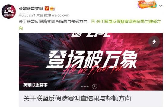 揭示装死者ZZZZ的真相与影响